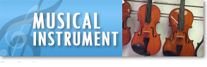 Musical Instrument - Music Store